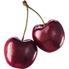 Two red cherries on a white background